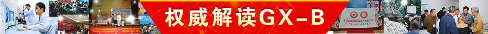 深度解析GX-B
