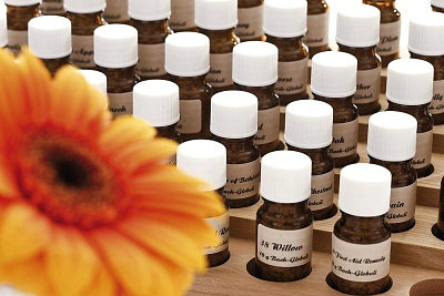 ���综����ΰ�����̬��