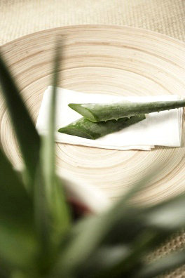 ��������ЩΣ����