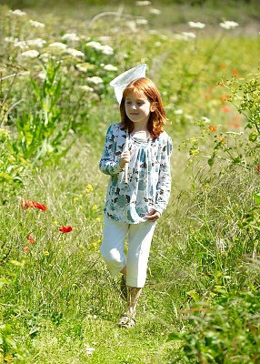 ������̬����