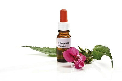 ���ư��������������ʲô�أ�