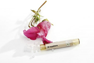 ���ư�����ƫ����