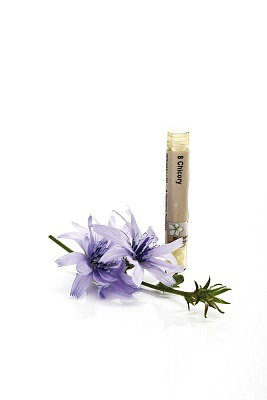 ��Щʳ��������ΰ��磿