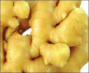 �������ư���