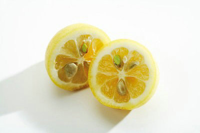 ����ʳ��