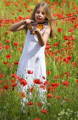 ��Ⱦ����