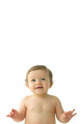 °×ñ°·çÌØµã