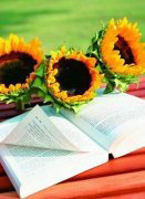 �����ճ�ע������