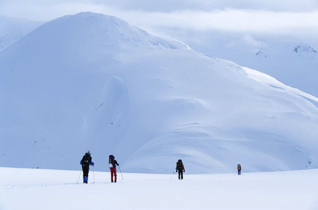 °×ñ°·çÓ°Ïì