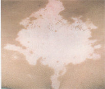 Ѱ���Ͱ���