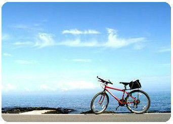 ���综���������