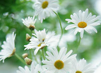 ���緢������