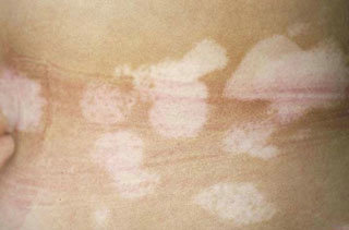 �����ٴ���������