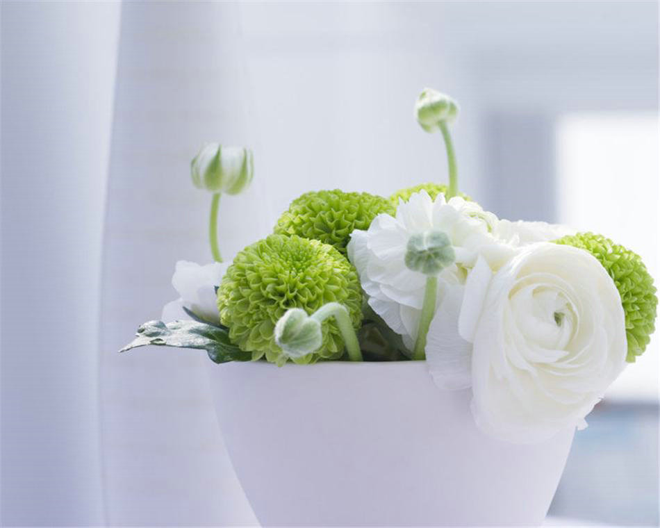 �����԰����ص�