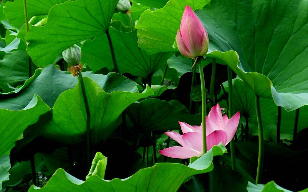 ���综�ߵ�������