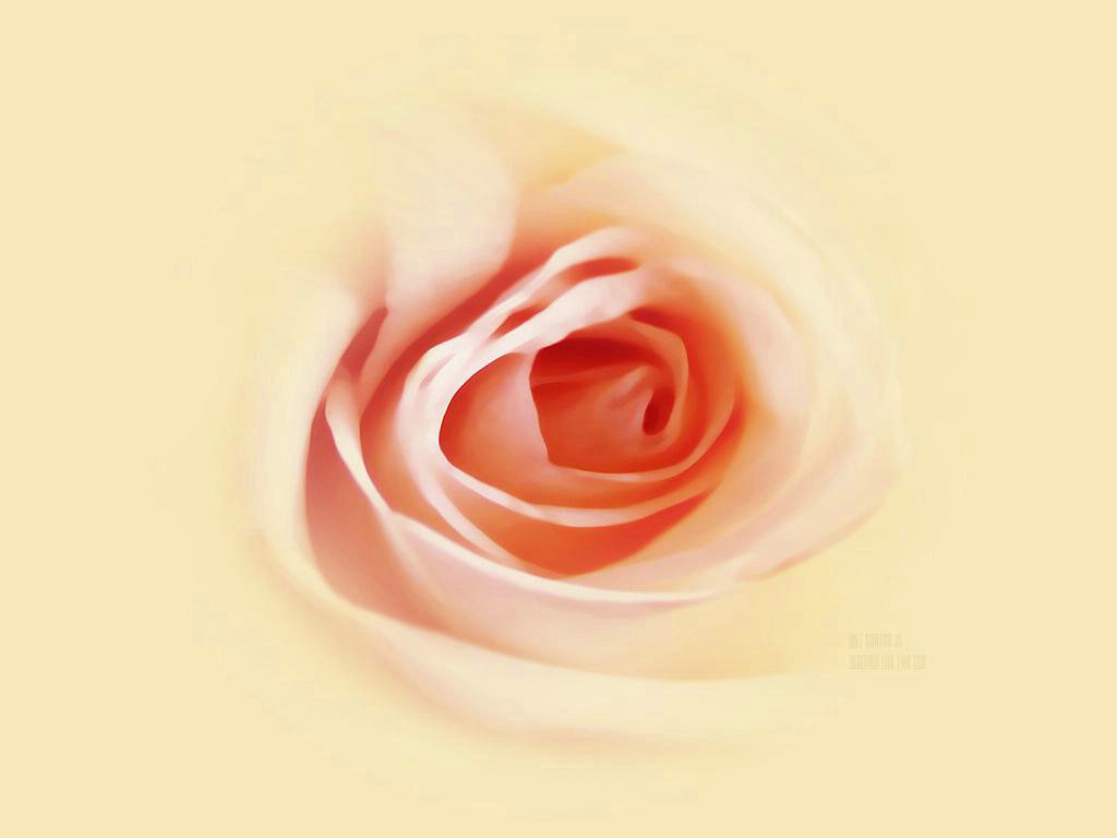 �������ұ���