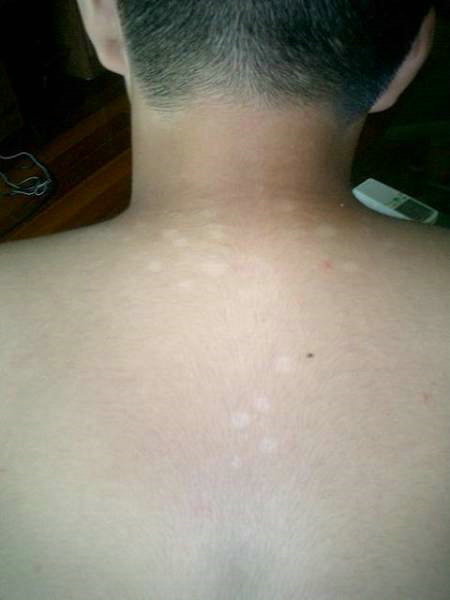 �����������ԭ��