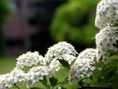 �������ԭ��