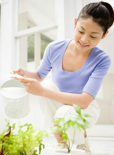 �װ߲������ճ�ע����������Щ��