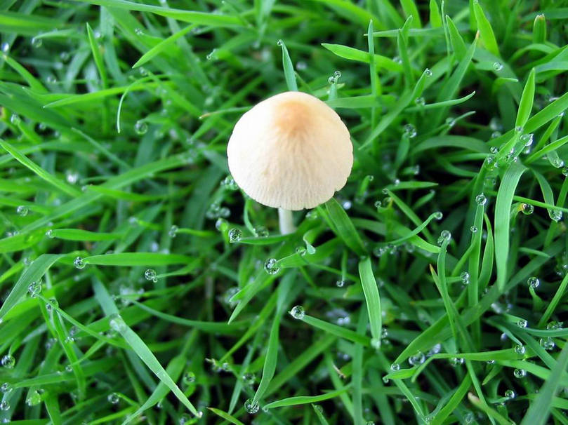 ���ݰ���Σ���ж��