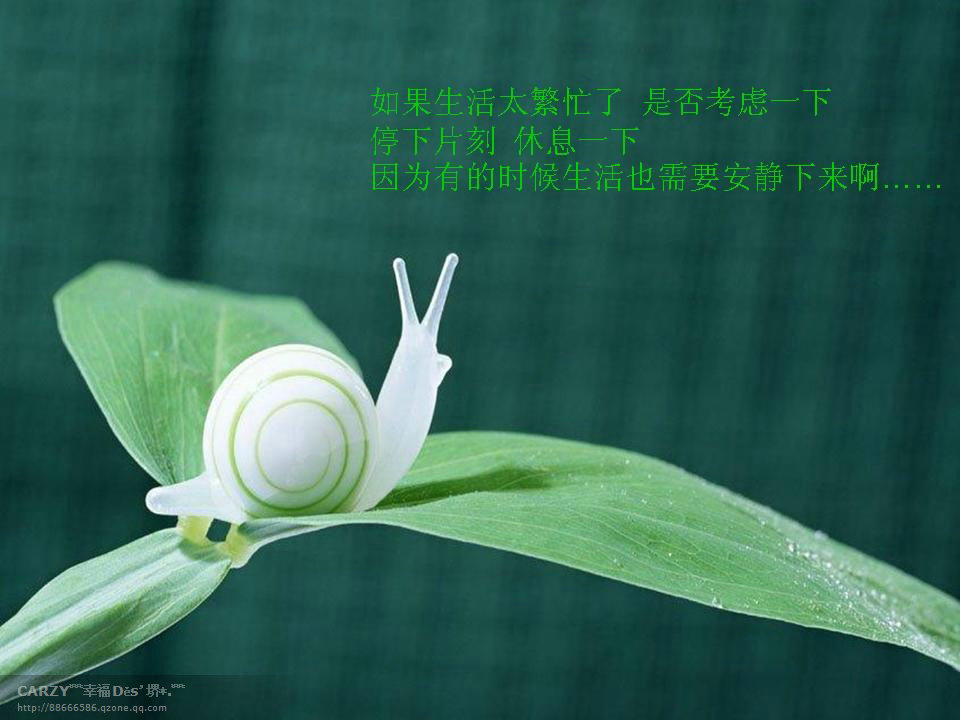 ��η�ֹ�ײ��縴����