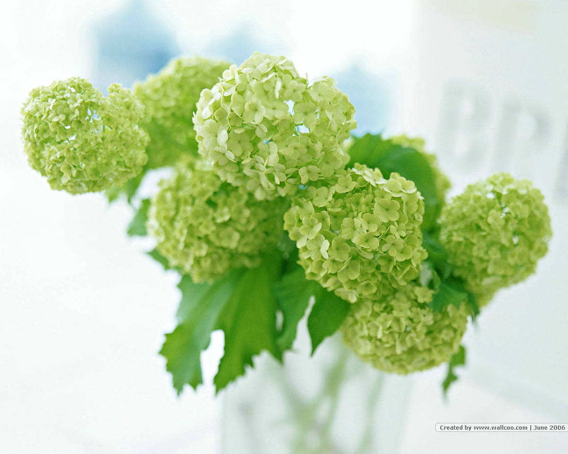 ���ݰ�ʴ�������ٴ���������Щ��