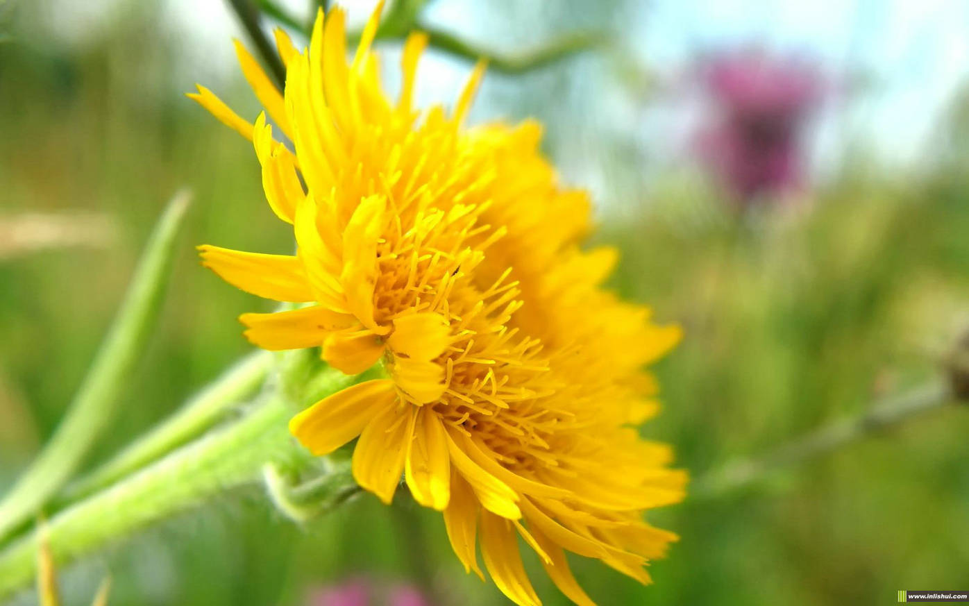 ������������Ҫ���ļ��������֣�