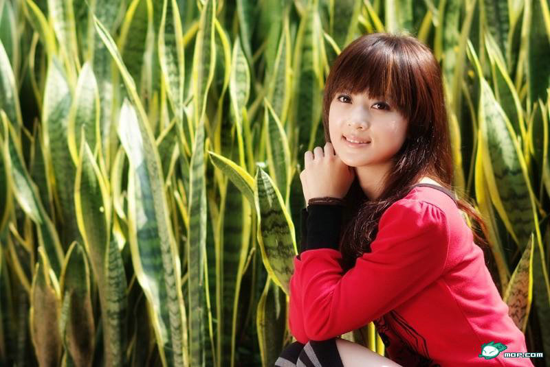 ����ע������