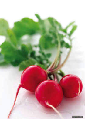 白癜风患者易进入哪些误区?