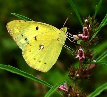 ���������ⲿ��������Щ��