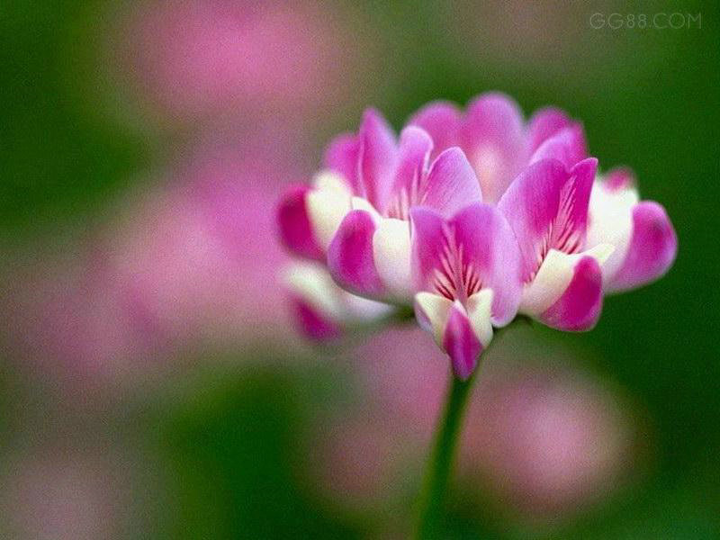 ���综�����������ֹۣ�