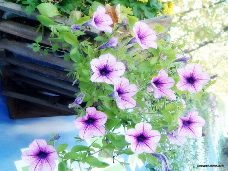 白癜风情绪控制有哪些方法?