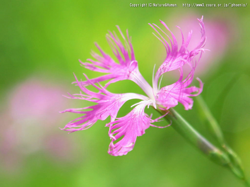 白癜风心理压力来源于哪里?