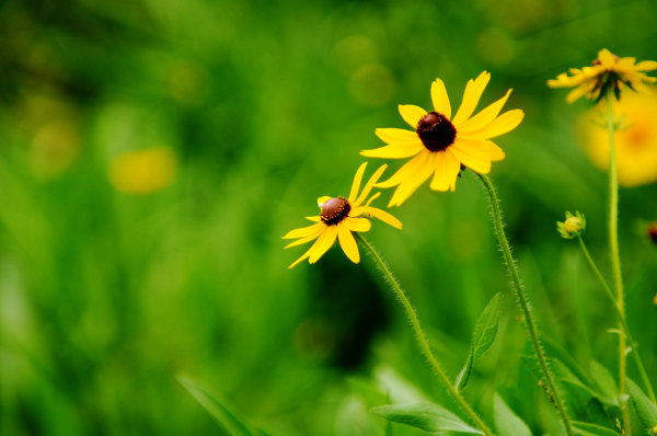 ���综��Ӧ��ע����Щ���⣿