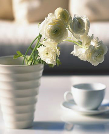 ��Щ���ػ�Ӱ����粡�鷢չ��