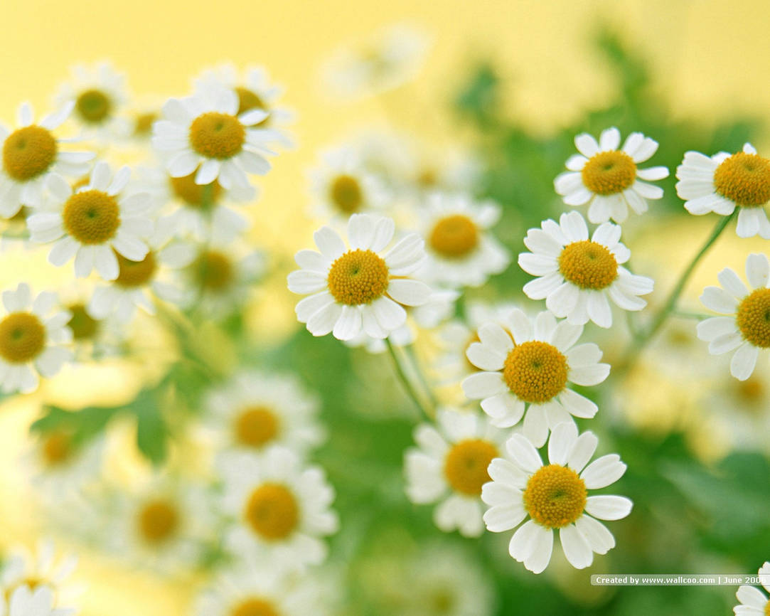 �����Ͱ�����ʲô�ص㣿