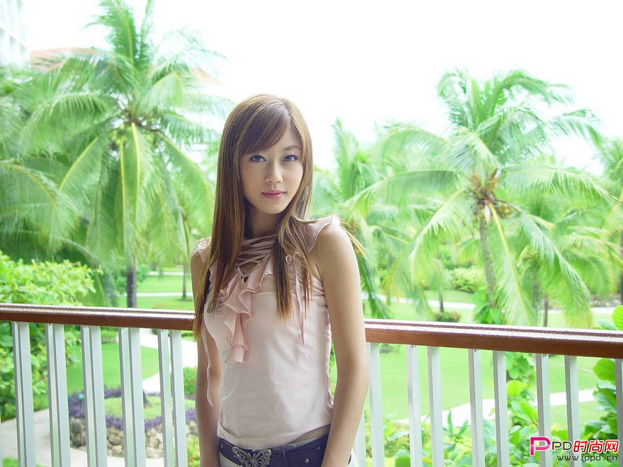 ���综����̬������ƣ�