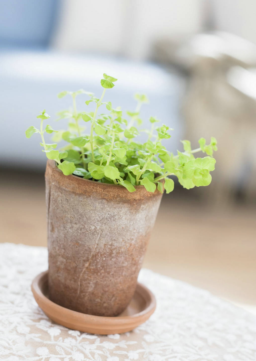 ���绤����������Щ��