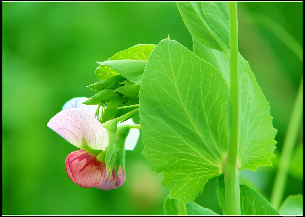 ���综����η���������