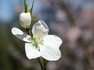 ���ݰ�������Щ�γ����أ�