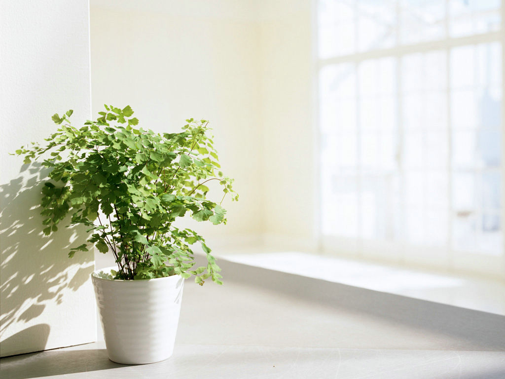 ʶ�������ʲô����