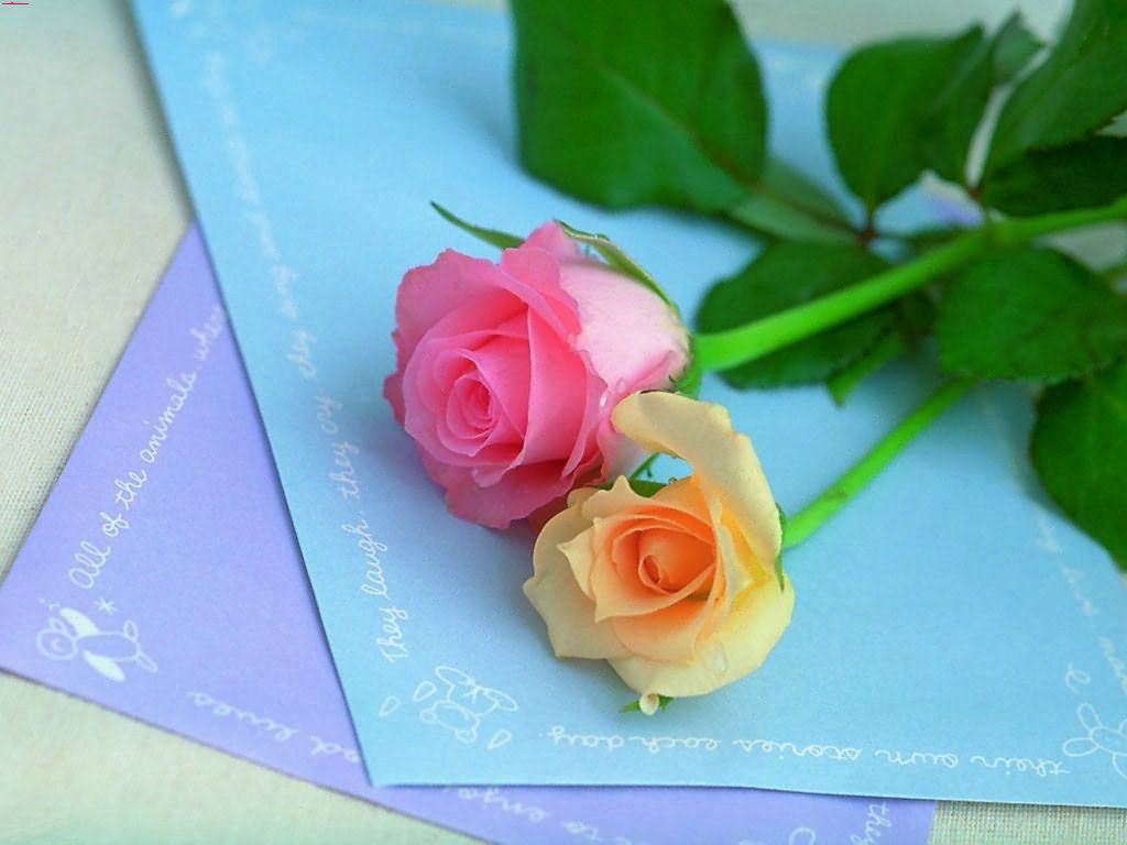 ��Щԭ�����շ����磿