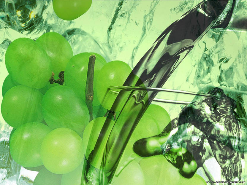 ��������ʲô������