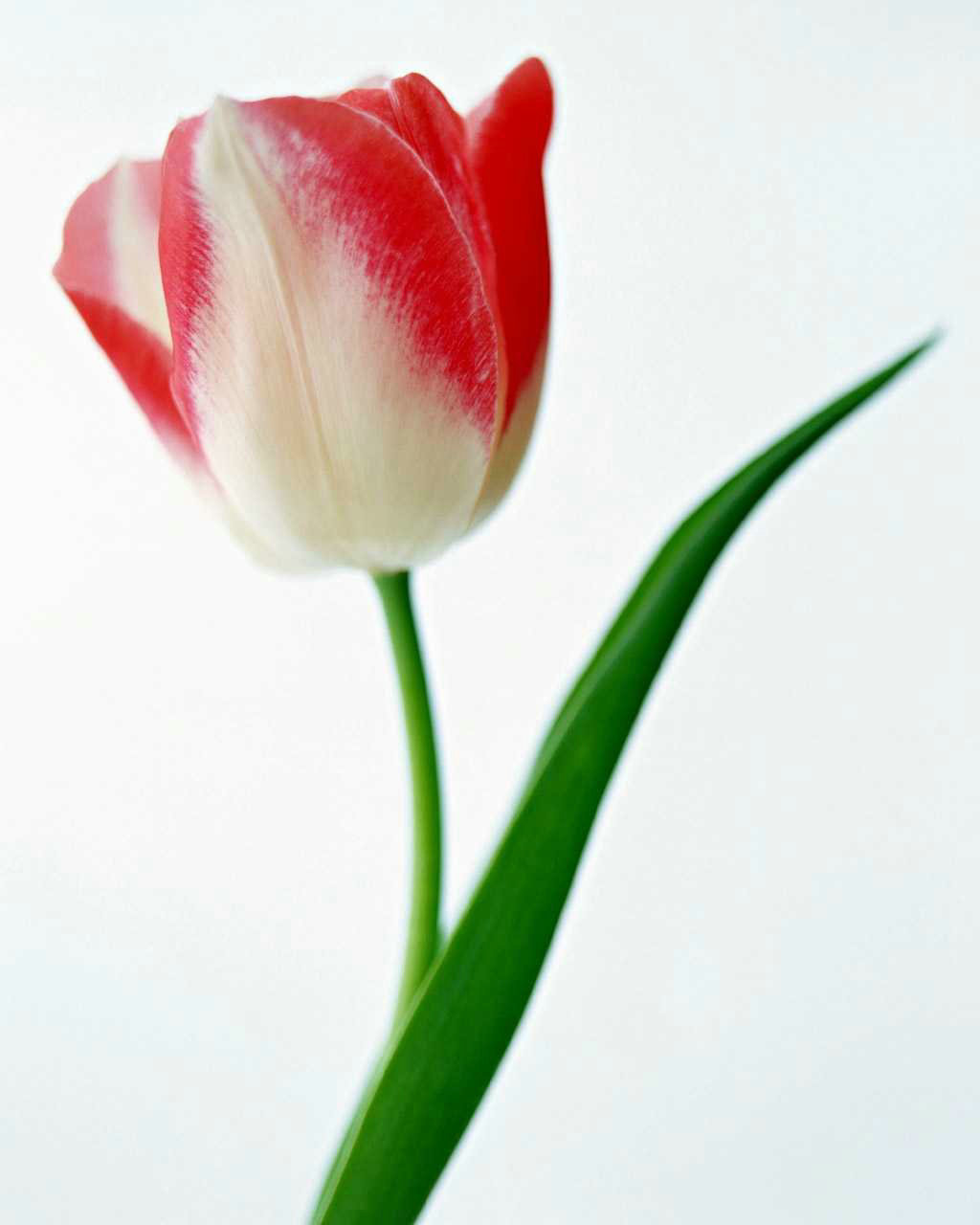 ����Ի�����ʲôӰ�죿